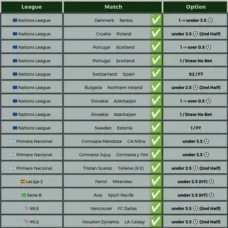 brasileirão série a neymar 